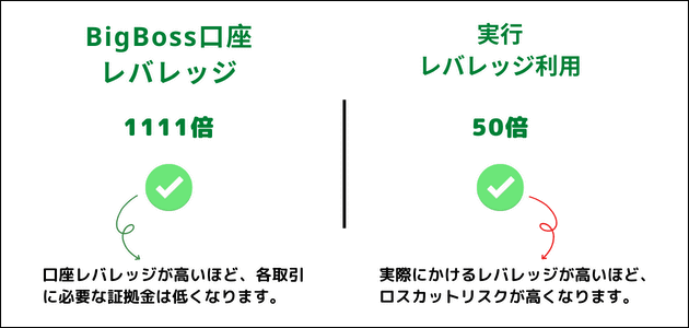 BigBoss レバレッジかけかたおすすめ
